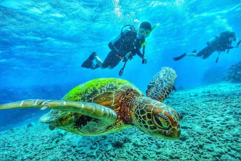 9 Days Cairo, Luxor and Sharm El Sheikh Tour Package