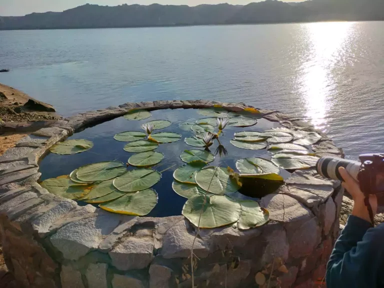 12 Days Cairo, Aswan, Luxor, Hurghada Family Holiday