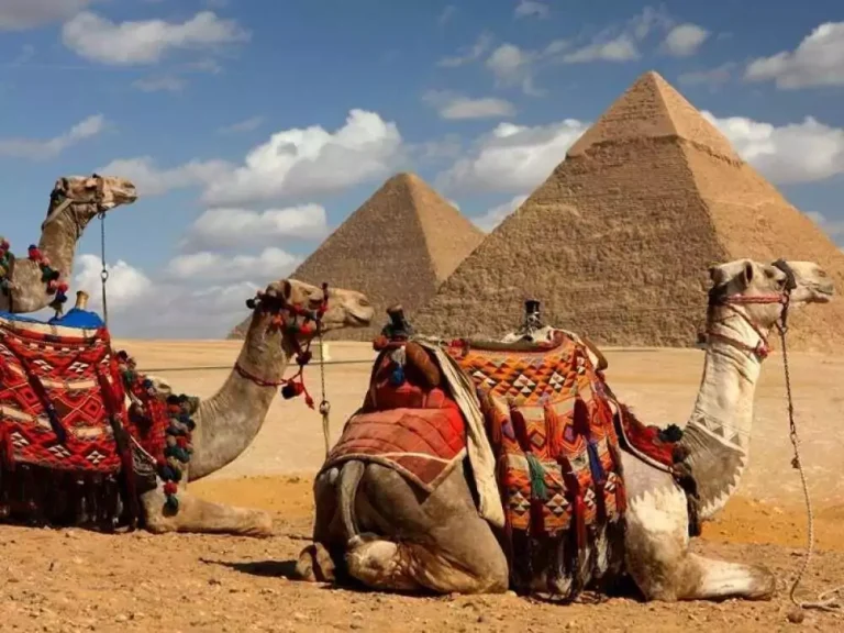 2 Days Trip to Cairo from Sharm El Sheikh