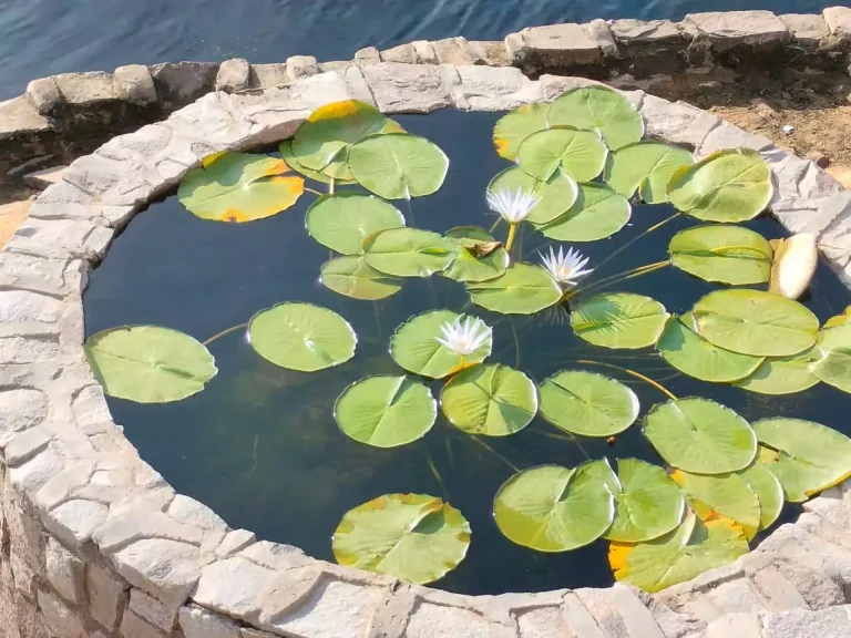 10 Days Cairo, Luxor, Aswan Tour