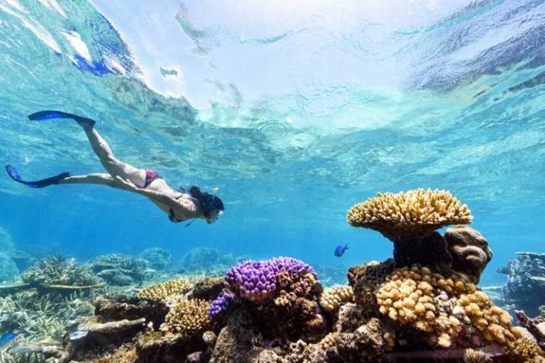 7 Days Cheap Package Holidays to Egypt