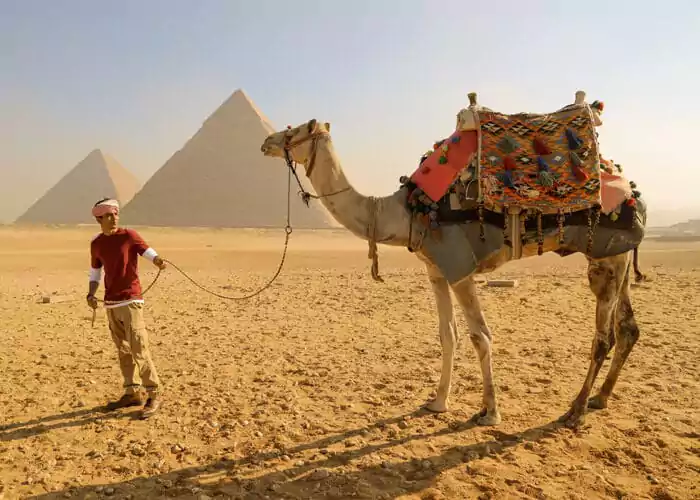 7 Days Cairo and Hurghada Tour for Seniors