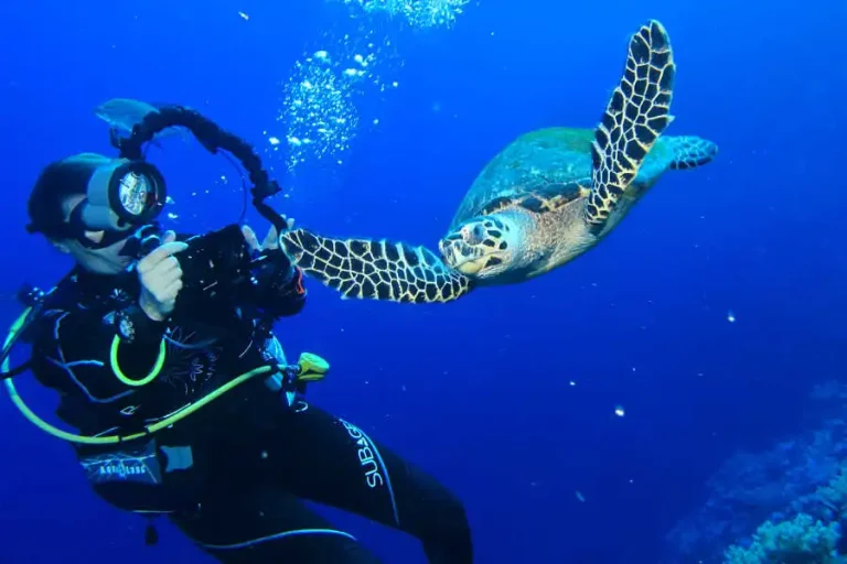 Scuba Diving Tour in El Gouna