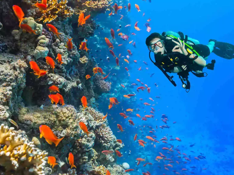 Scuba Diving Tour in El Gouna