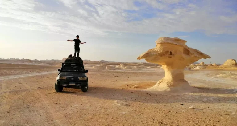 Bahariya Oasis and White Desert Tour from Cairo