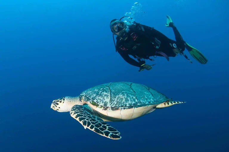 Scuba Diving Tour in Hurghada