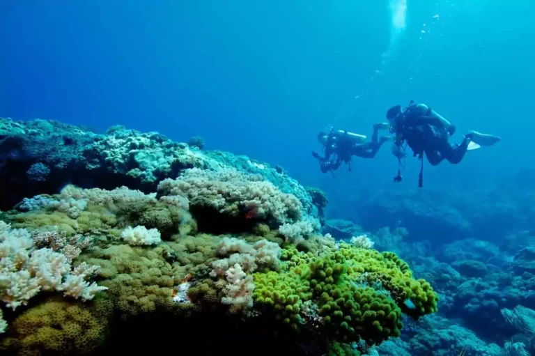 Scuba Diving Tour in Hurghada