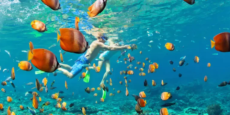 Snorkeling Trip to Mahmya Island from Hurghada