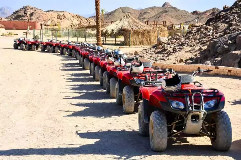 Makadi Bay Morning Quad Tour with Camel Ride