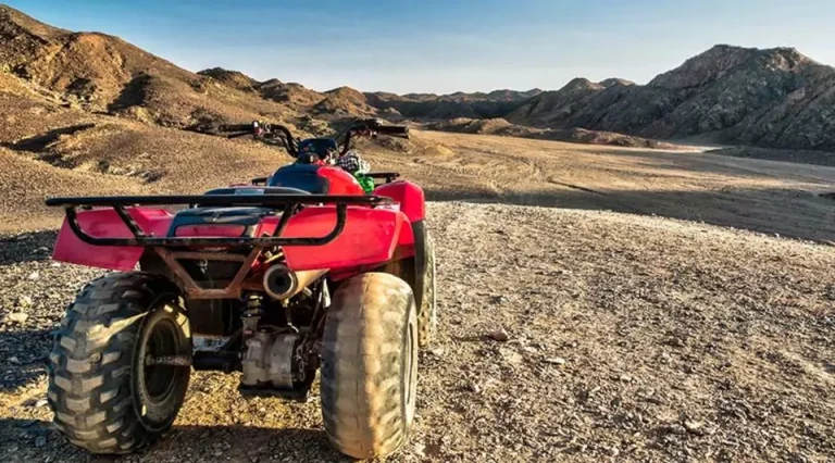 Makadi Bay Morning Quad Tour with Camel Ride