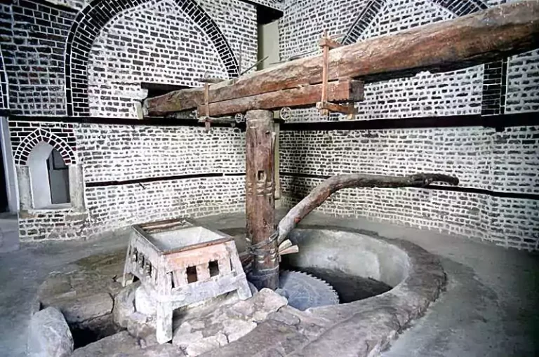 Day Trip to Rosetta From Alexandria