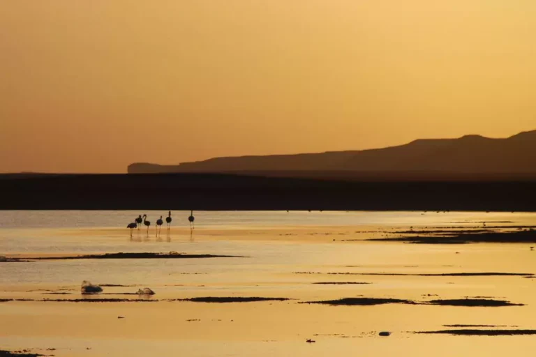 Wadi El Natrun Trip from Alexandria