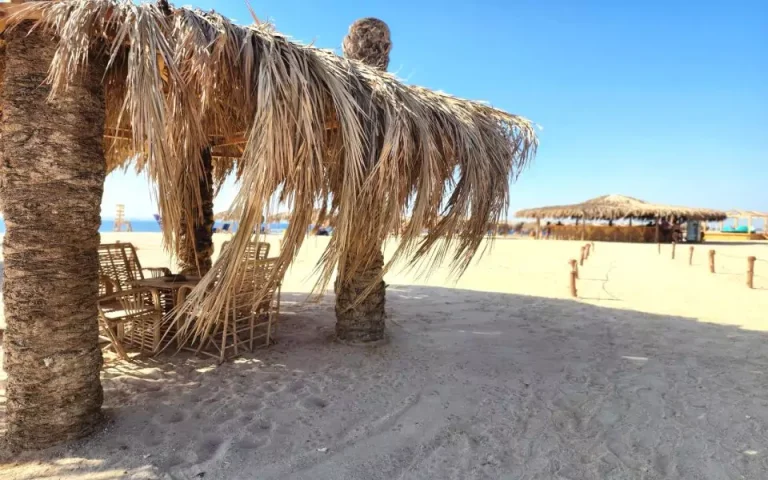 Eden Island Snorkeling Trip from El Gouna