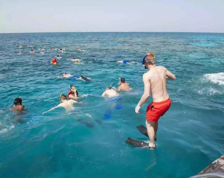 Eden Island Snorkeling Trip from El Gouna