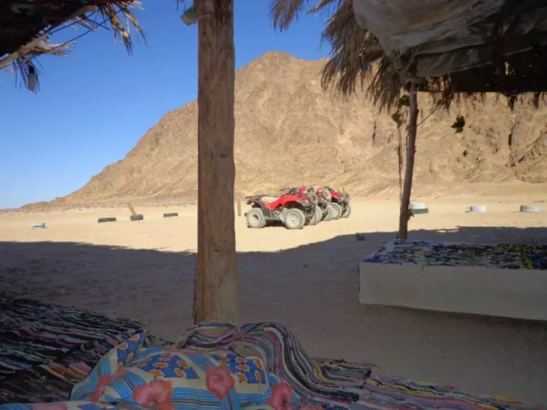 El Gouna Morning Quad Bike Tour with Camel Ride