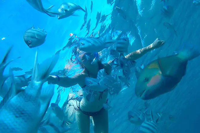 Snorkeling day trip in El Gouna