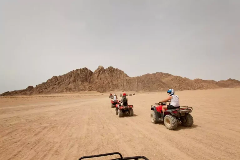 El Gouna Morning Quad Bike Tour with Camel Ride