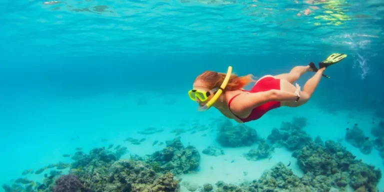 Snorkeling day trip in El Gouna