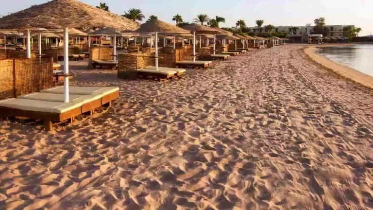 Private Transfer from Hurghada Airport to Safaga Hotels