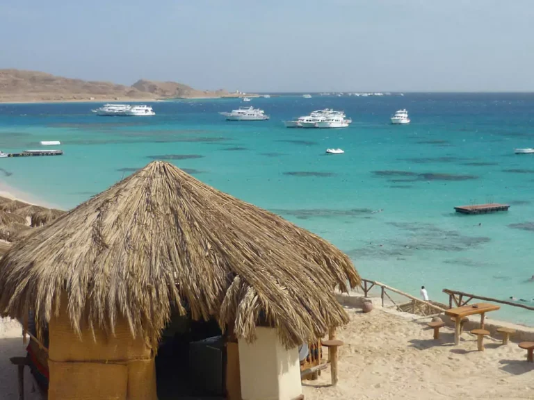 Snorkeling Trip to Mahmya Island from El Gouna