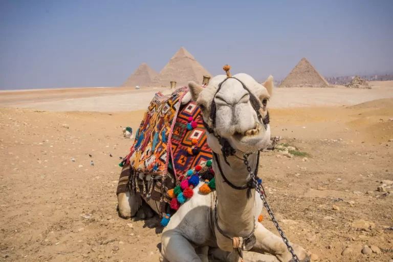 Pyramids Small Group Trip From Hurghada