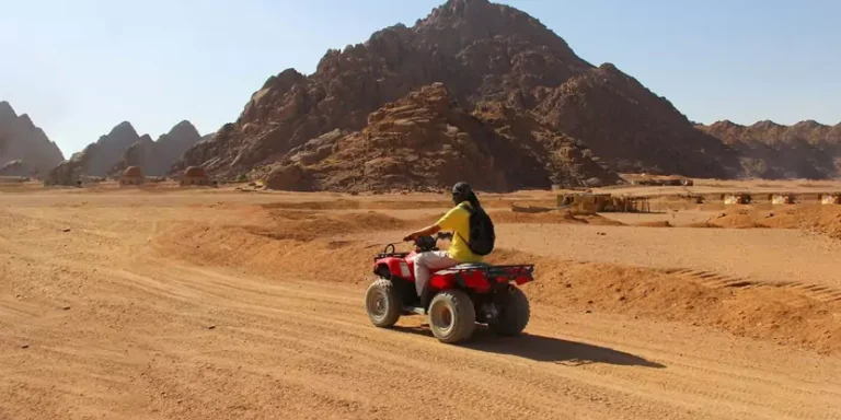 El Gouna Morning Quad Bike Tour with Camel Ride