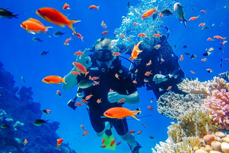 Best Diving Spots in Hurghada
