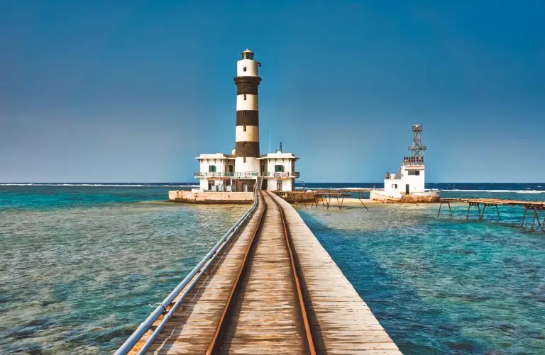 5 Days Diving Brothers, Daedalus and Elphinstone