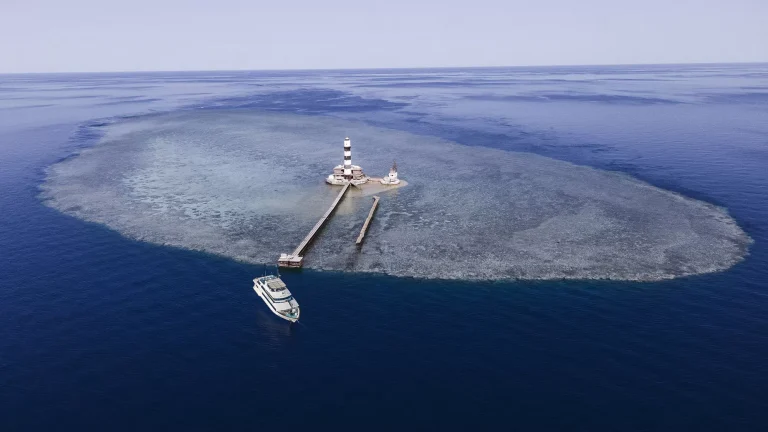 5 Days Diving Brothers, Daedalus and Elphinstone