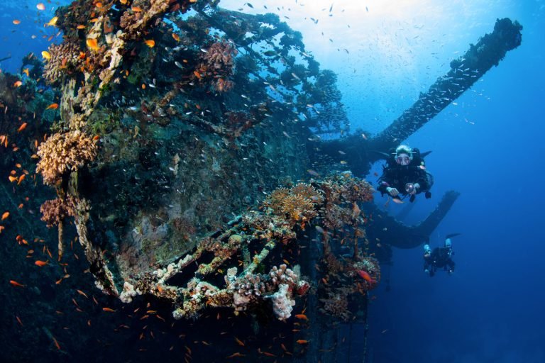 6 Days in Brothers Islands, Safaga and Elphinstone Island