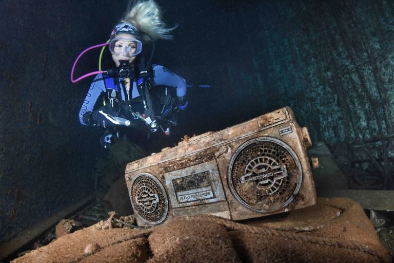 6 Days in Brothers Islands, Safaga and Elphinstone Island