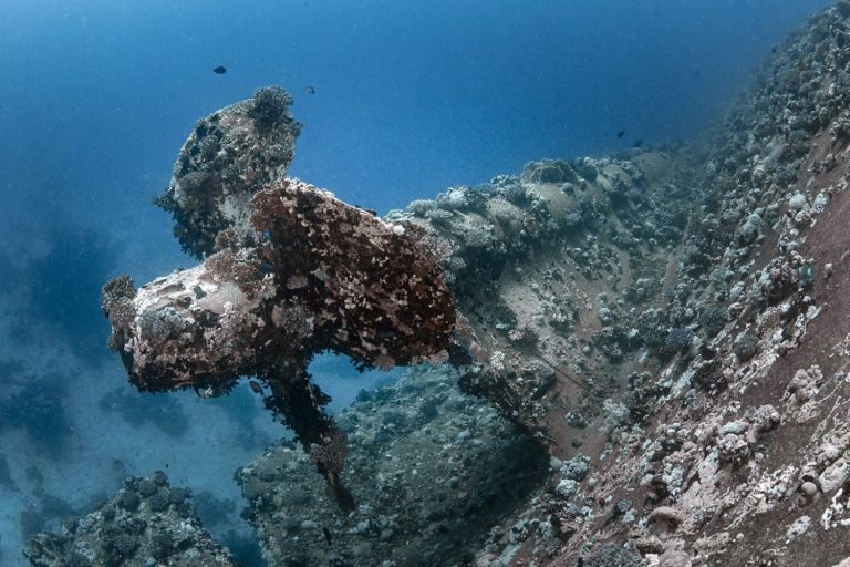 6 Days in Brothers Islands, Safaga and Elphinstone Island