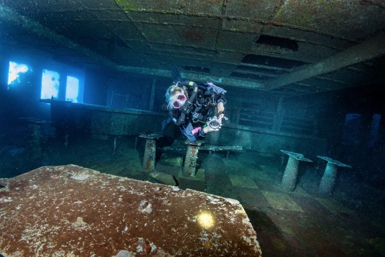 6 Days in Brothers Islands, Safaga and Elphinstone Island