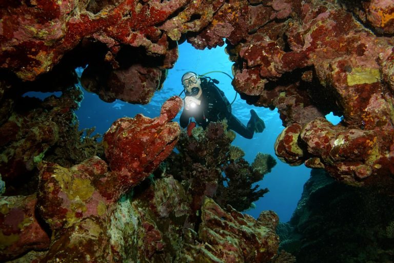 6 Days in Deep South of Red Sea