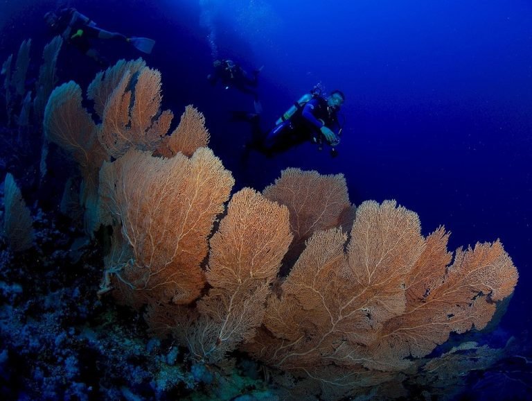 6 Days in Deep South of Red Sea