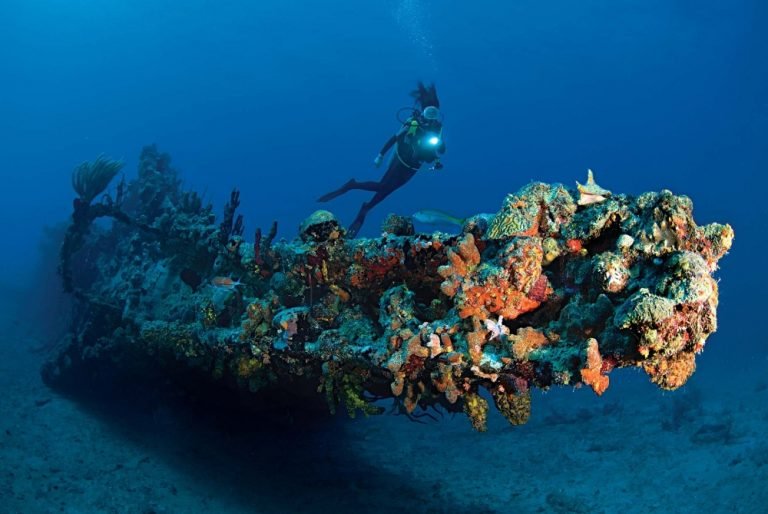 6 Days in Deep South of Red Sea