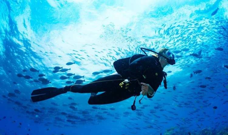 Overnight Diving trip at Sataya Dolphin Reef from Marsa Alam