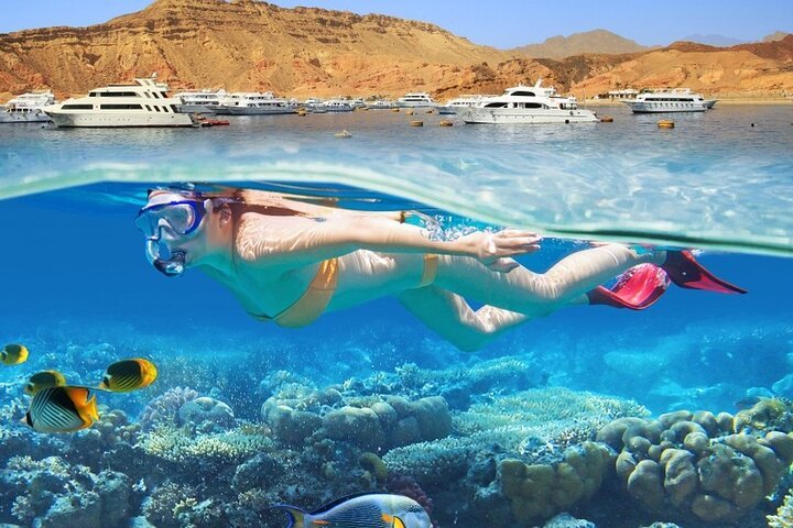 Sataya Reef Snorkeling trip from Marsa Alam