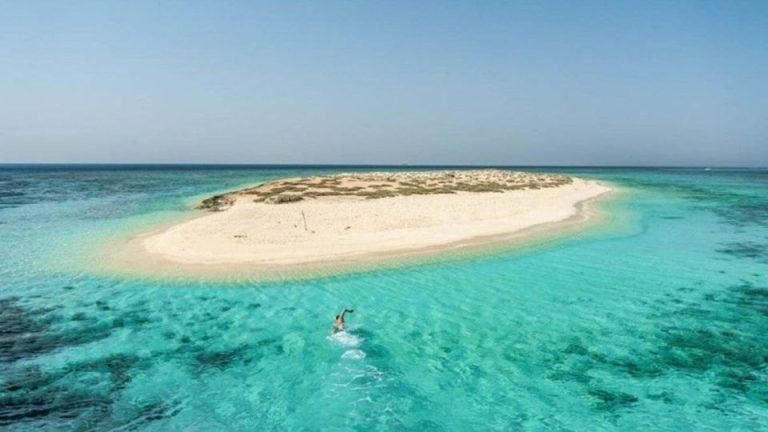 Sataya Reef Snorkeling trip from Marsa Alam