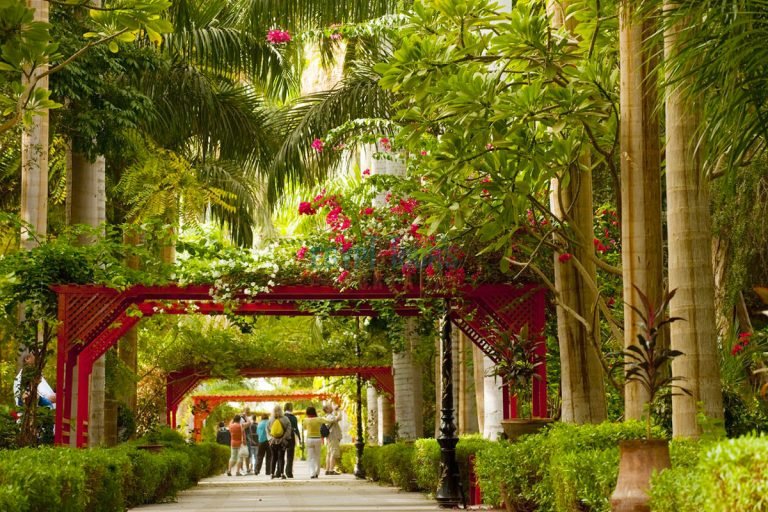 12 Days Cairo, Luxor, Aswan, Hurghada with Nile Cruise