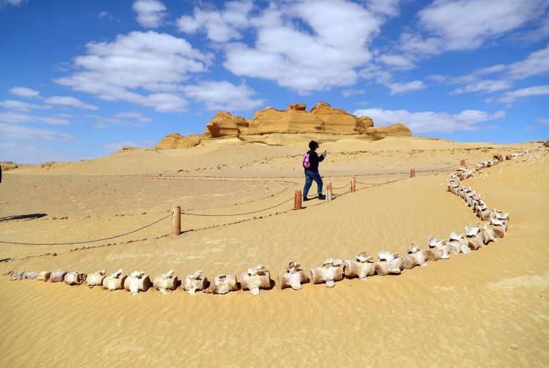 9-Day trip to Cairo, Luxor, Aswan & Fayoum