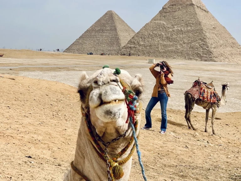 9 Days to Cairo, Luxor, Aswan and Siwa Oasis
