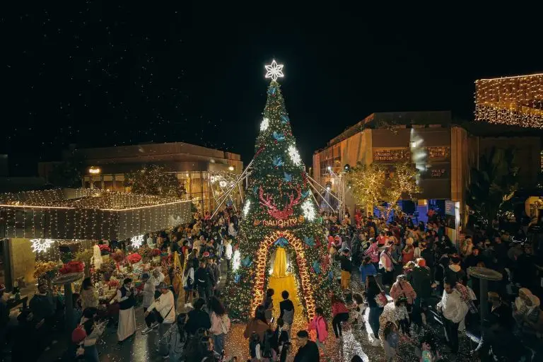 7 Days Cairo & Nile Cruise at Christmas