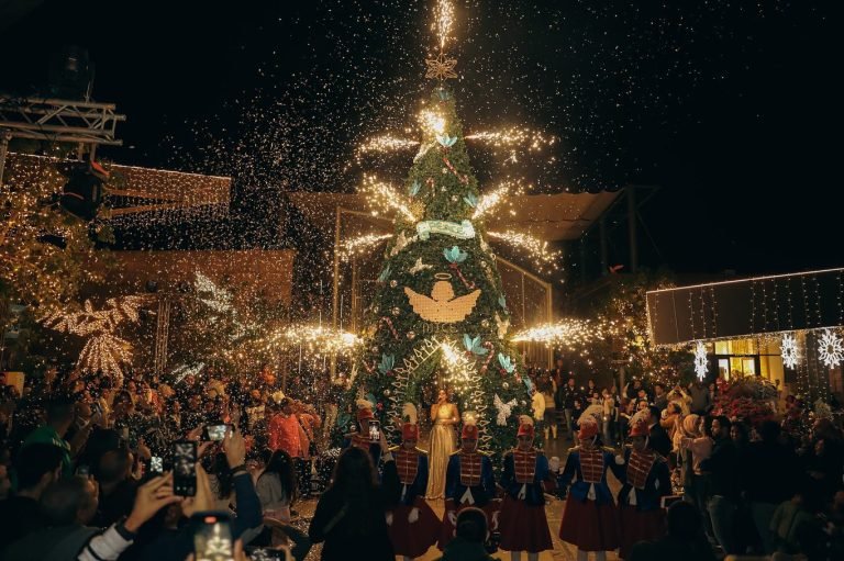 4 Day Christmas tour with Nile Cruise