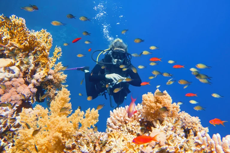 Diving Safari in Red Sea