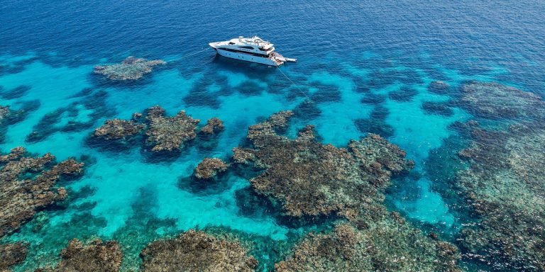 Red sea liveaboard