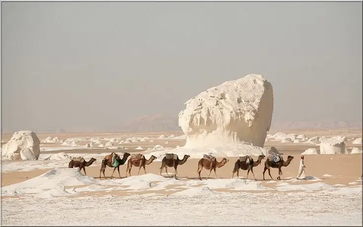 4-Day tour to Cairo and the White Desert