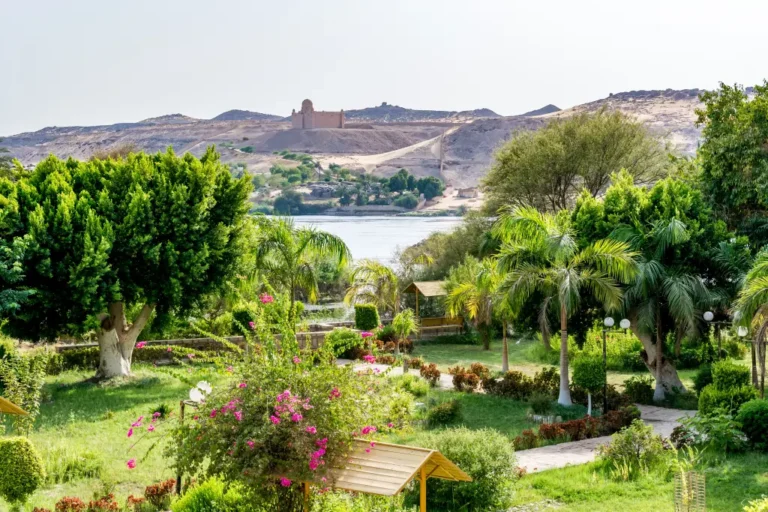 Aswan Botanical Garden