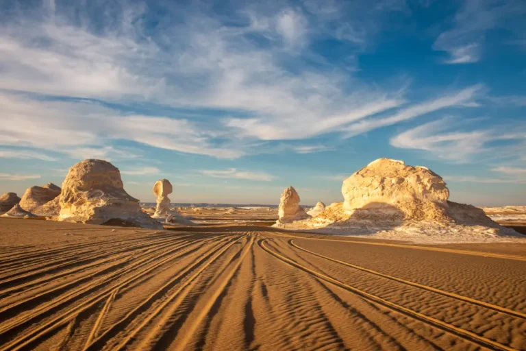 Bahariya Oasis