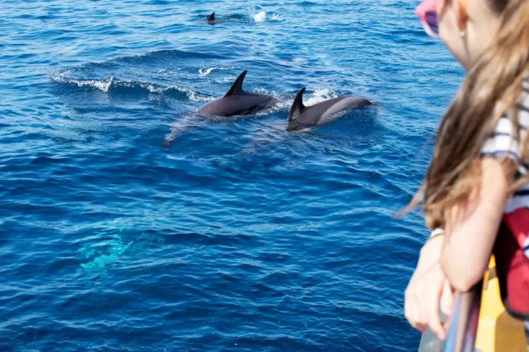 Things to Do in Hurghada